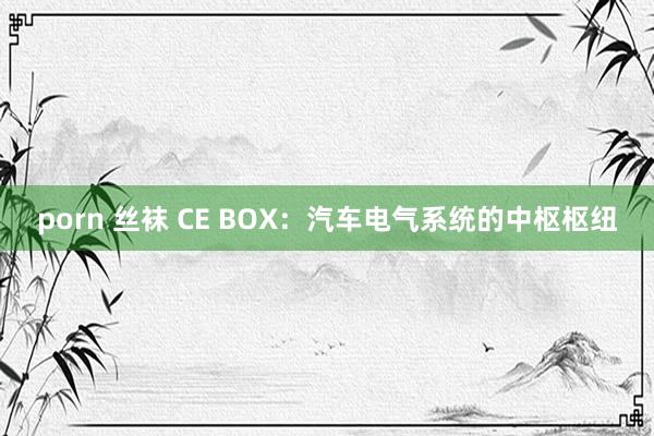 porn 丝袜 CE BOX：汽车电气系统的中枢枢纽