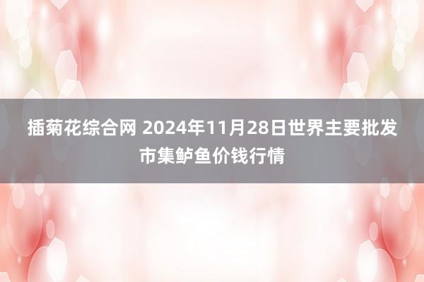 插菊花综合网 2024年11月28日世界主要批发市集鲈鱼价钱行情