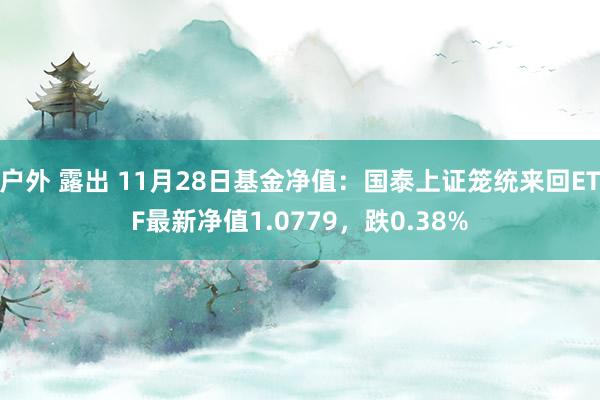 户外 露出 11月28日基金净值：国泰上证笼统来回ETF最新净值1.0779，跌0.38%