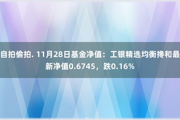 自拍偷拍. 11月28日基金净值：工银精选均衡搀和最新净值0.6745，跌0.16%