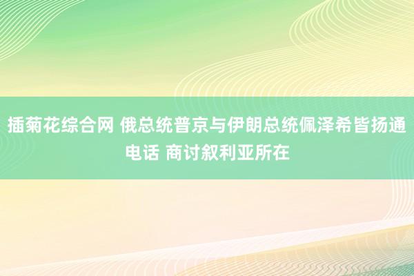 插菊花综合网 俄总统普京与伊朗总统佩泽希皆扬通电话 商讨叙利亚所在