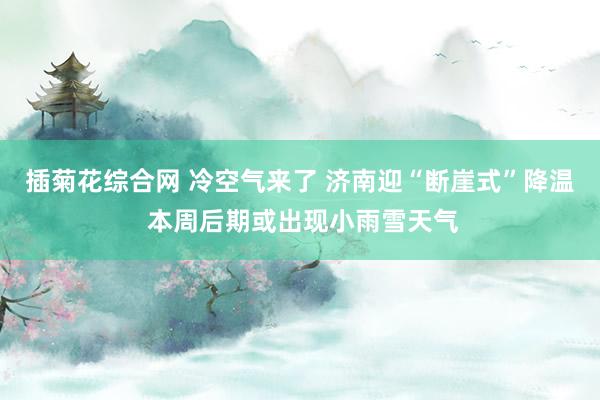 插菊花综合网 冷空气来了 济南迎“断崖式”降温 本周后期或出现小雨雪天气