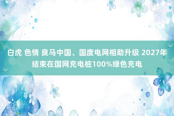 白虎 色情 良马中国、国度电网相助升级 2027年结束在国网充电桩100%绿色充电