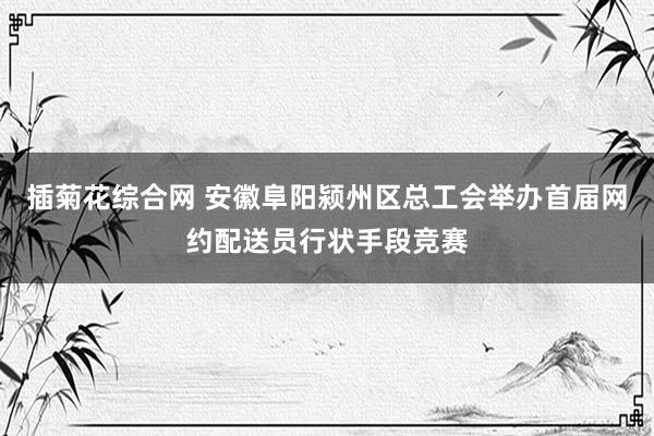 插菊花综合网 安徽阜阳颍州区总工会举办首届网约配送员行状手段竞赛