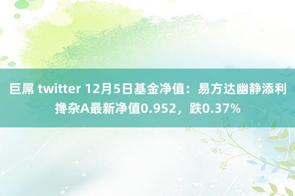 巨屌 twitter 12月5日基金净值：易方达幽静添利搀杂A最新净值0.952，跌0.37%