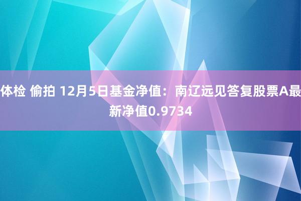 体检 偷拍 12月5日基金净值：南辽远见答复股票A最新净值0.9734