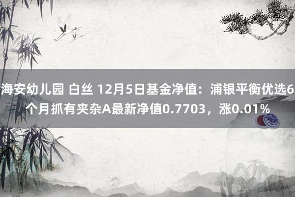 海安幼儿园 白丝 12月5日基金净值：浦银平衡优选6个月抓有夹杂A最新净值0.7703，涨0.01%