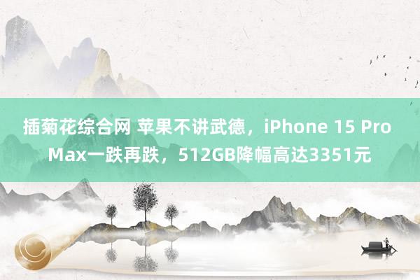 插菊花综合网 苹果不讲武德，iPhone 15 Pro Max一跌再跌，512GB降幅高达3351元