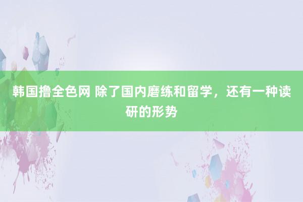 韩国撸全色网 除了国内磨练和留学，还有一种读研的形势