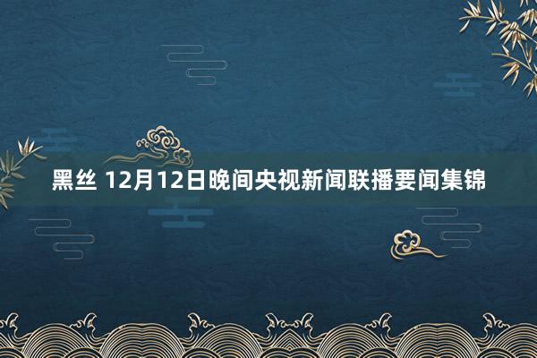 黑丝 12月12日晚间央视新闻联播要闻集锦