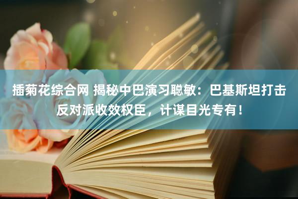 插菊花综合网 揭秘中巴演习聪敏：巴基斯坦打击反对派收效权臣，计谋目光专有！