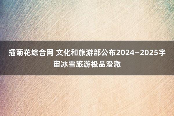 插菊花综合网 文化和旅游部公布2024—2025宇宙冰雪旅游极品澄澈