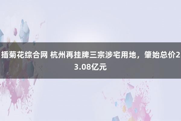 插菊花综合网 杭州再挂牌三宗涉宅用地，肇始总价23.08亿元