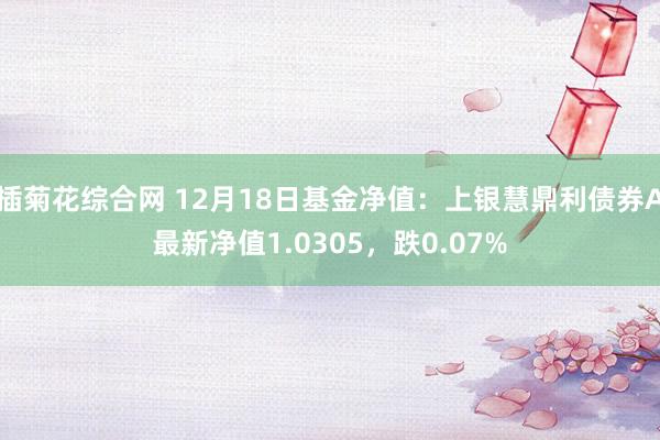 插菊花综合网 12月18日基金净值：上银慧鼎利债券A最新净值1.0305，跌0.07%