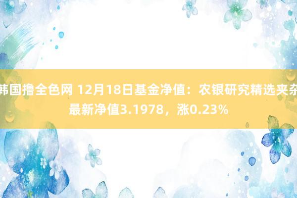 韩国撸全色网 12月18日基金净值：农银研究精选夹杂最新净值3.1978，涨0.23%