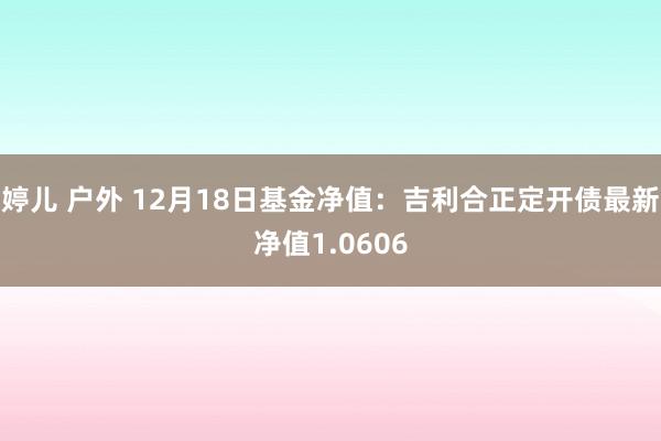 婷儿 户外 12月18日基金净值：吉利合正定开债最新净值1.0606