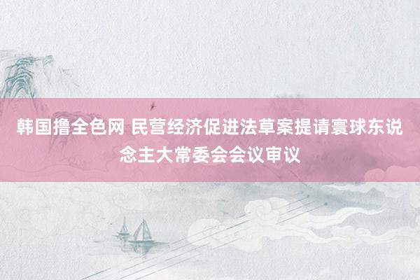 韩国撸全色网 民营经济促进法草案提请寰球东说念主大常委会会议审议