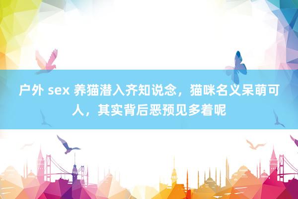 户外 sex 养猫潜入齐知说念，猫咪名义呆萌可人，其实背后恶预见多着呢