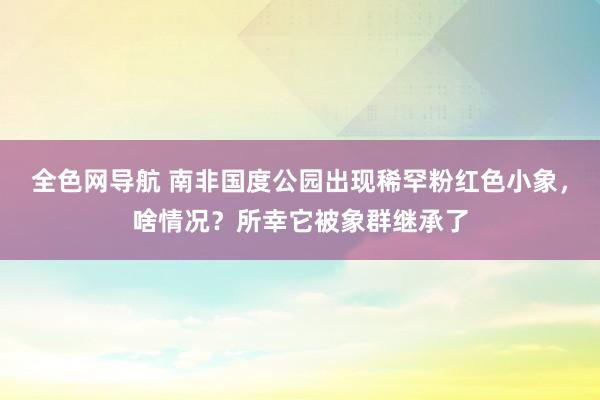 全色网导航 南非国度公园出现稀罕粉红色小象，啥情况？所幸它被象群继承了