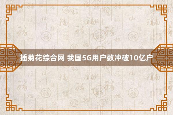 插菊花综合网 我国5G用户数冲破10亿户