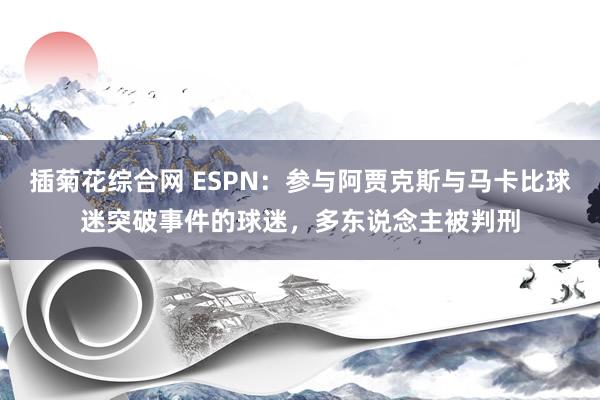 插菊花综合网 ESPN：参与阿贾克斯与马卡比球迷突破事件的球迷，多东说念主被判刑