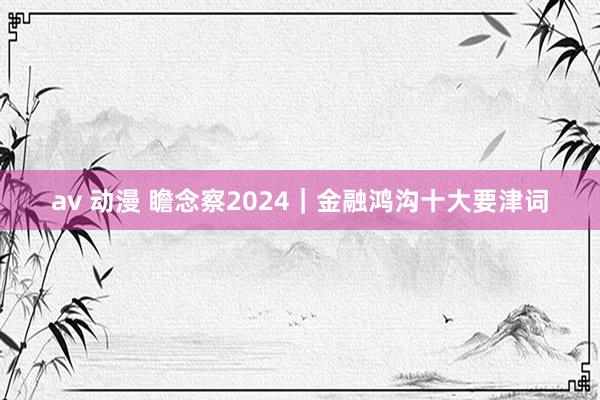 av 动漫 瞻念察2024｜金融鸿沟十大要津词