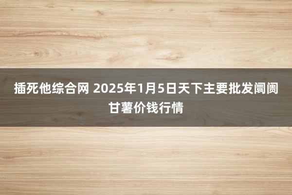 插死他综合网 2025年1月5日天下主要批发阛阓甘薯价钱行情