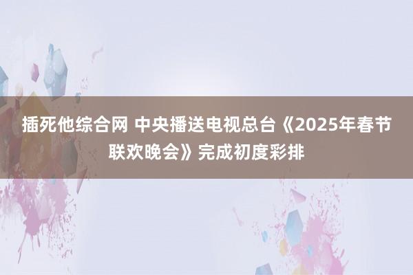 插死他综合网 中央播送电视总台《2025年春节联欢晚会》完成初度彩排