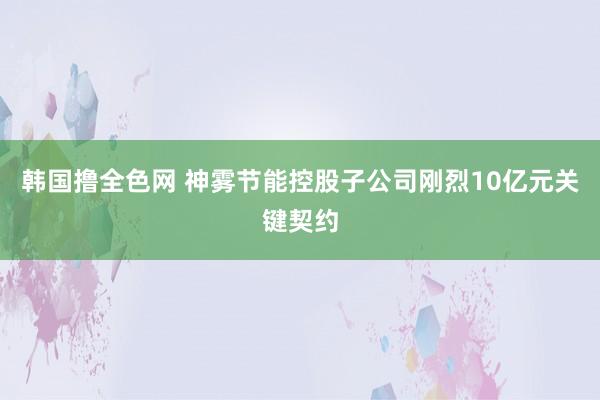 韩国撸全色网 神雾节能控股子公司刚烈10亿元关键契约