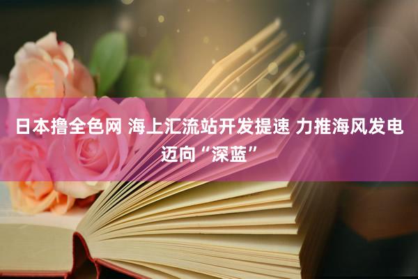 日本撸全色网 海上汇流站开发提速 力推海风发电迈向“深蓝”