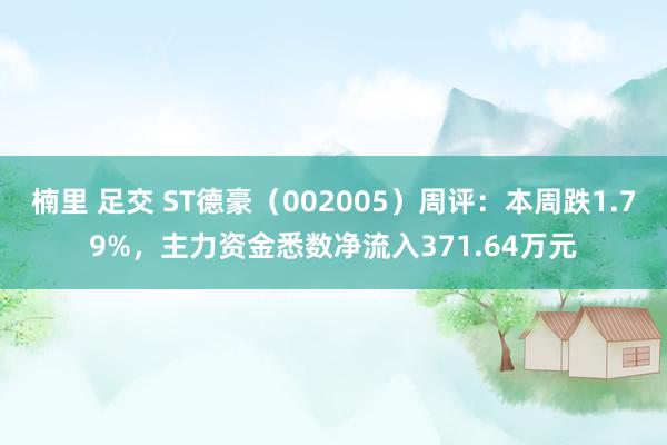 楠里 足交 ST德豪（002005）周评：本周跌1.79%，主力资金悉数净流入371.64万元