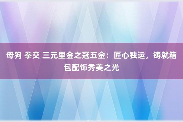 母狗 拳交 三元里金之冠五金：匠心独运，铸就箱包配饰秀美之光