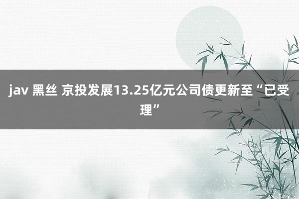 jav 黑丝 京投发展13.25亿元公司债更新至“已受理”