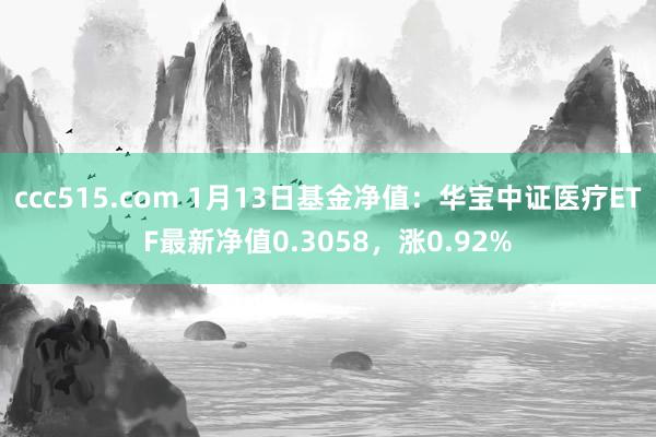 ccc515.com 1月13日基金净值：华宝中证医疗ETF最新净值0.3058，涨0.92%