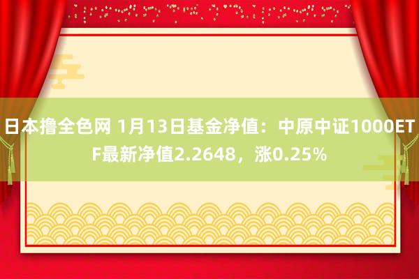 日本撸全色网 1月13日基金净值：中原中证1000ETF最新净值2.2648，涨0.25%