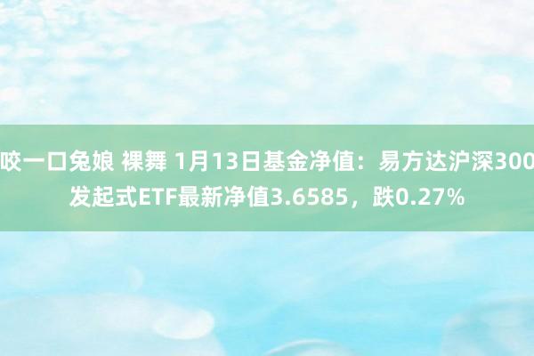 咬一口兔娘 裸舞 1月13日基金净值：易方达沪深300发起式ETF最新净值3.6585，跌0.27%