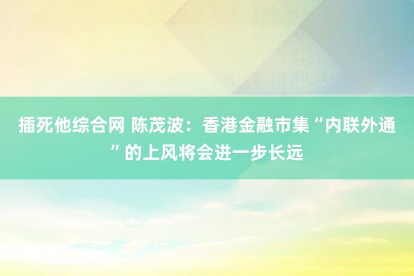 插死他综合网 陈茂波：香港金融市集“内联外通”的上风将会进一步长远