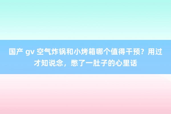 国产 gv 空气炸锅和小烤箱哪个值得干预？用过才知说念，憋了一肚子的心里话