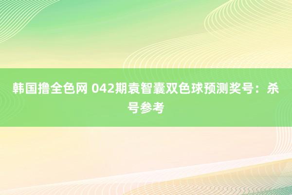 韩国撸全色网 042期袁智囊双色球预测奖号：杀号参考